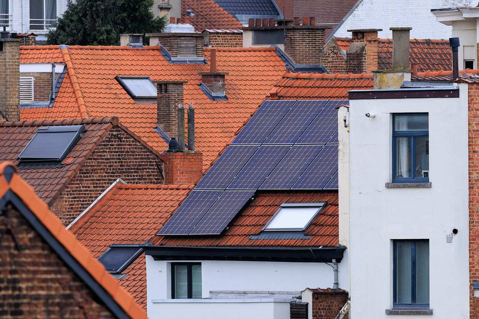 Rode pannendaken met schouwen en dakvensters in een stadswijk, met zwarte zonnepanelen op een van de daken